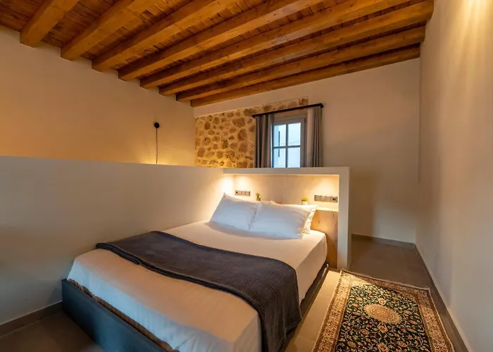 Calmare לינדוס